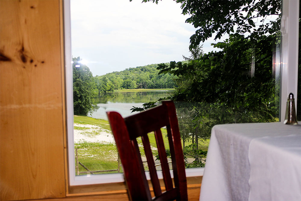Treetop Restaurant window view